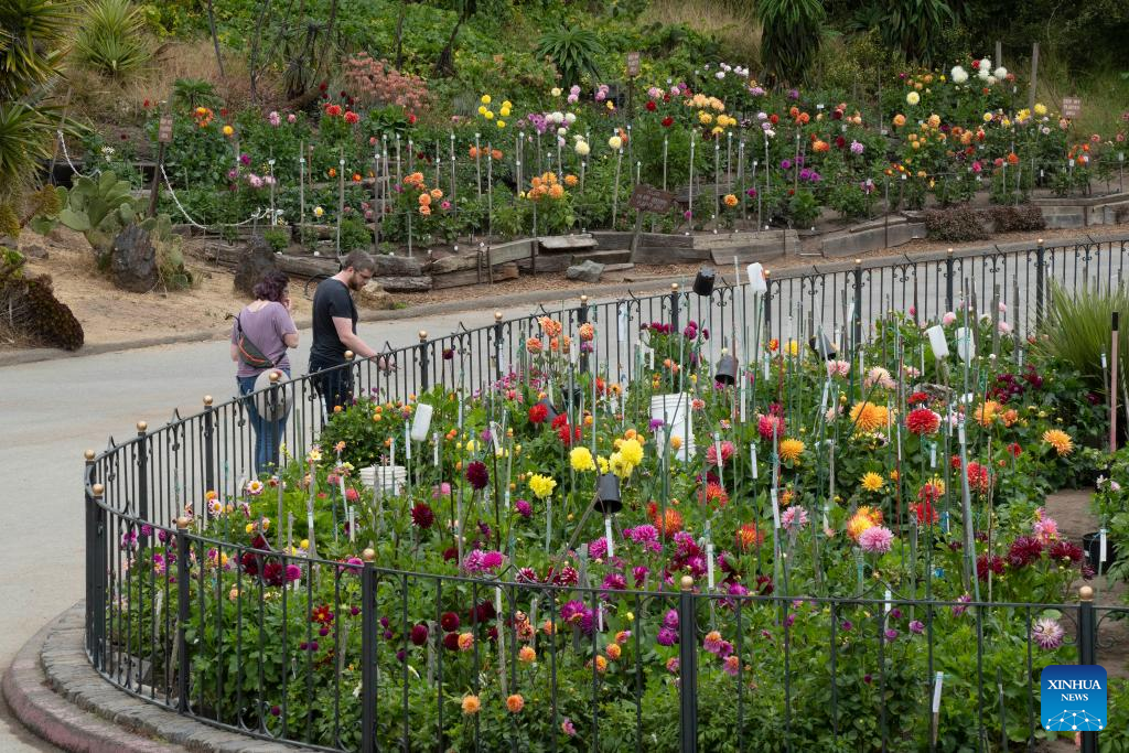 People enjoy flowers at Golden Gate Park in San FranciscoXinhua