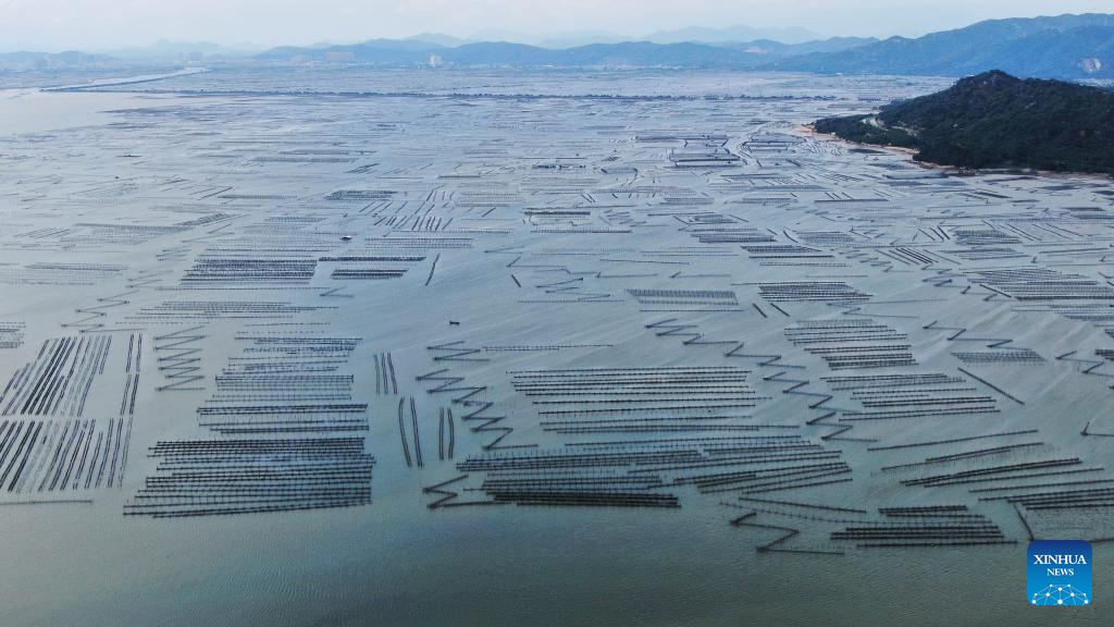 Raoping Port Raoping County in S China develops aquaculture-Xinhua