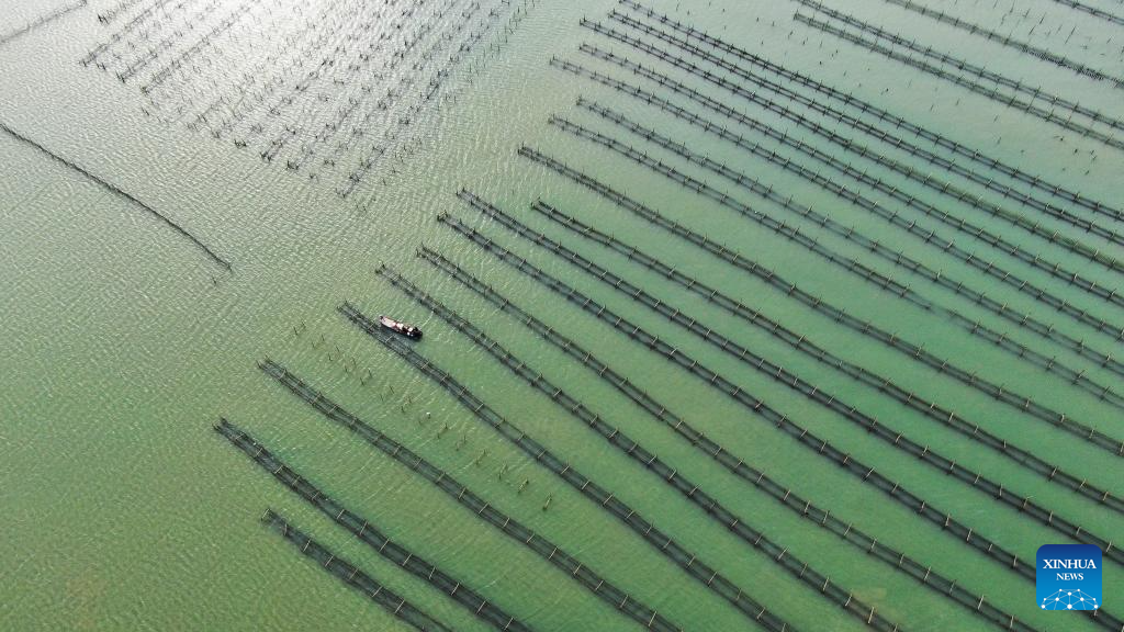 Raoping Port Raoping County in S China develops aquaculture-Xinhua