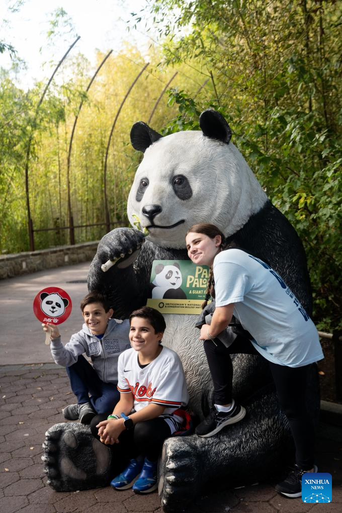 Ow maybe I can hide undew it?, Giant Panda Tai Shan celebra…