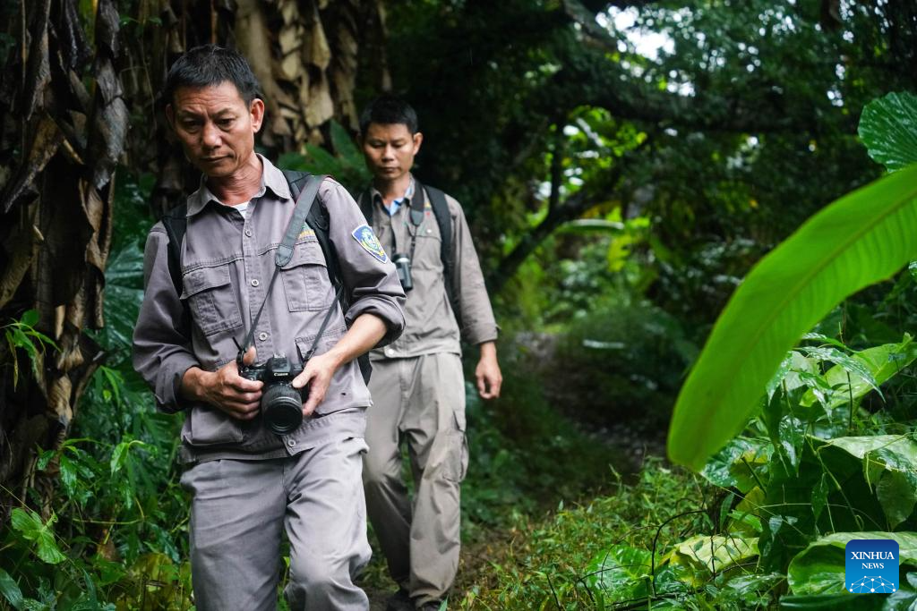 Pic story of forest ranger in Hainan, S China-Xinhua