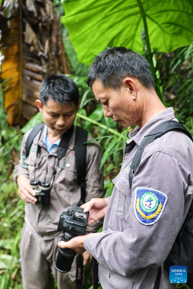 Pic story of forest ranger in Hainan, S China-Xinhua