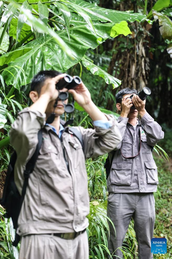 Pic story of forest ranger in Hainan, S China-Xinhua