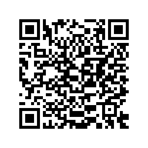 Ford U.S. sales down in October-Xinhua