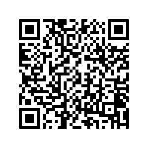 Ford U.S. sales drop in November-Xinhua