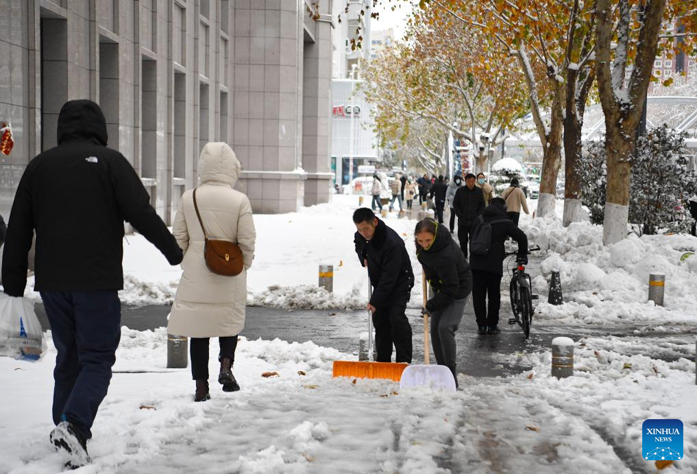 Blizzard in central China suspends school, grounds flights-Xinhua
