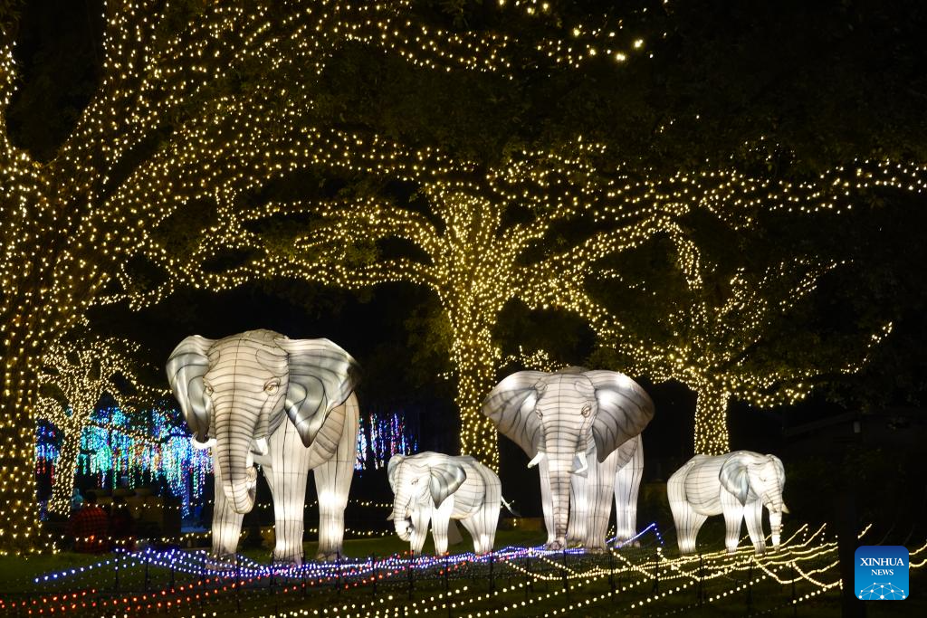 People visit Houston Zoo Lights in U.S. Xinhua