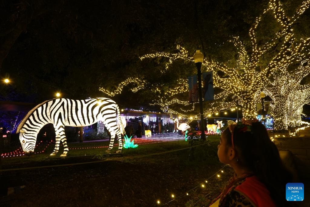 People visit Houston Zoo Lights in U.S. Xinhua