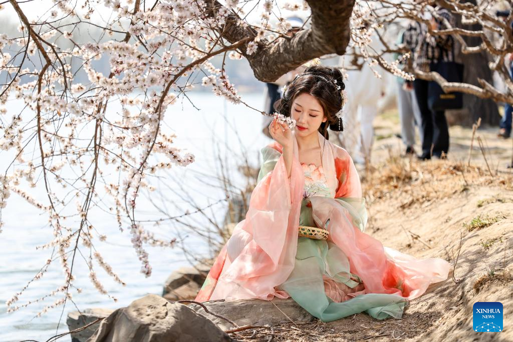 Chinese Spring Queen In pics: spring flowers in full bloom at Summer Palace in Beijing-Xinhua