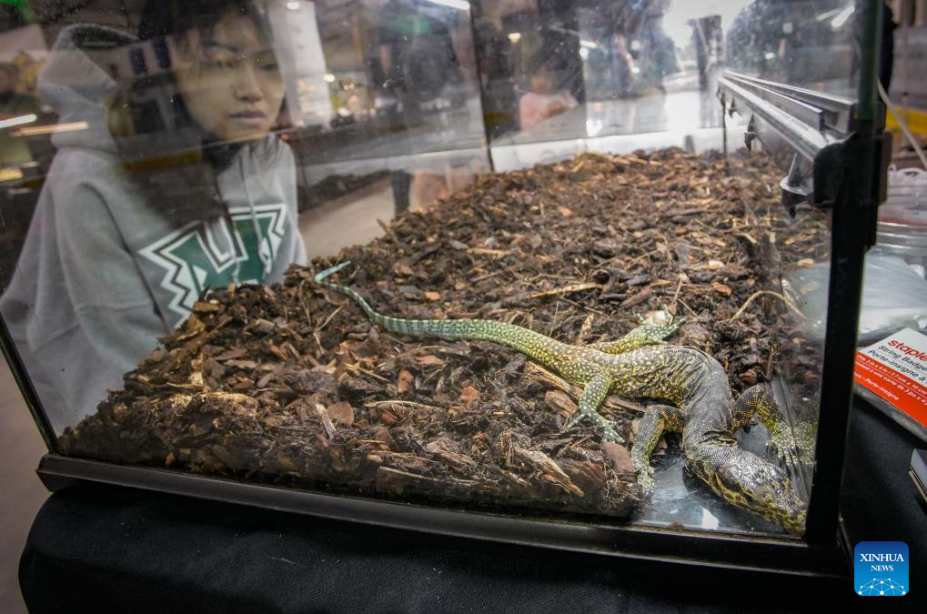 2024 Vancouver Reptile Expo held in Canada-Xinhua