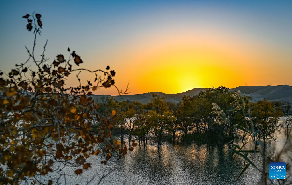 Autumn scenery attracts tourists in NW China's Xinjiang-Xinhua